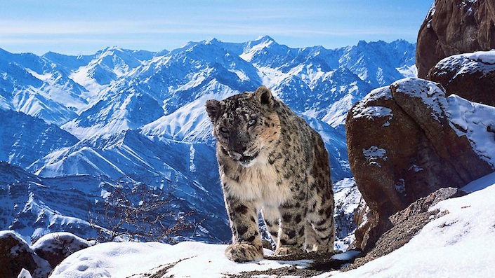 Planet Earth II – Living Wonders of our Natural World
