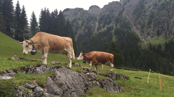 Virtual Postcard | Michelle Nussbaumer in Gstaad