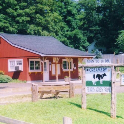 Creamery_2.9193134_std