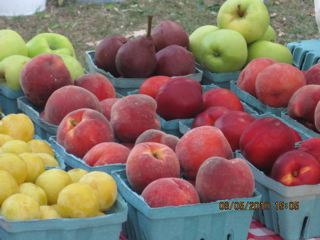Farmers’ Fare