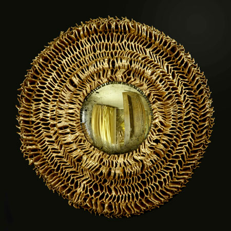 image11