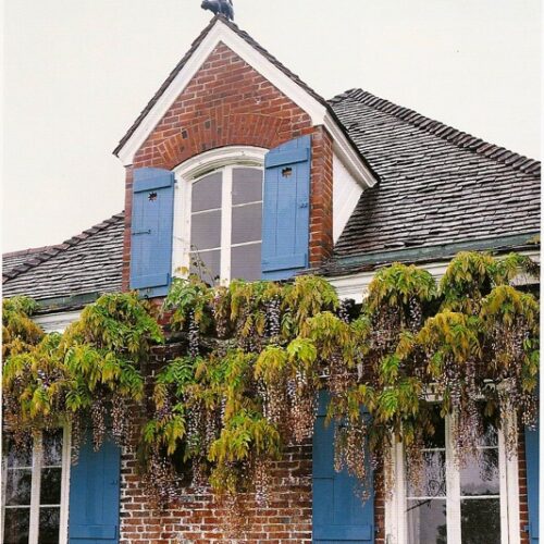 shutters