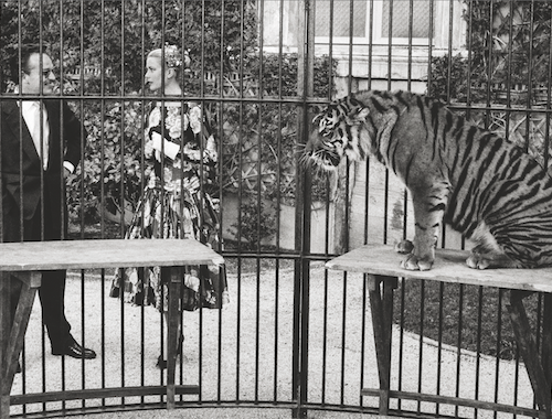 Prince Rainier and Grace Kelley in Celebrity Pets